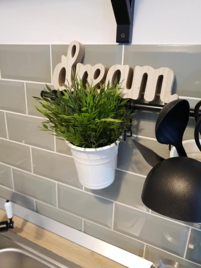 Dream Apartment Petroşani Exteriör bild